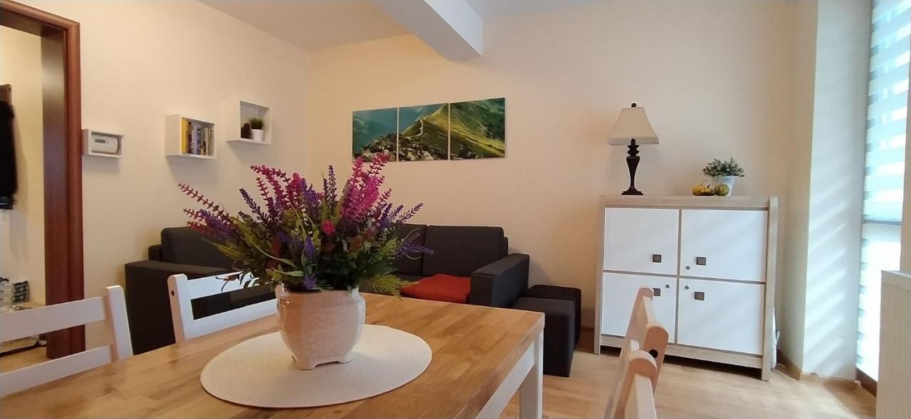 Apartament Akuratny ザコパネ エクステリア 写真