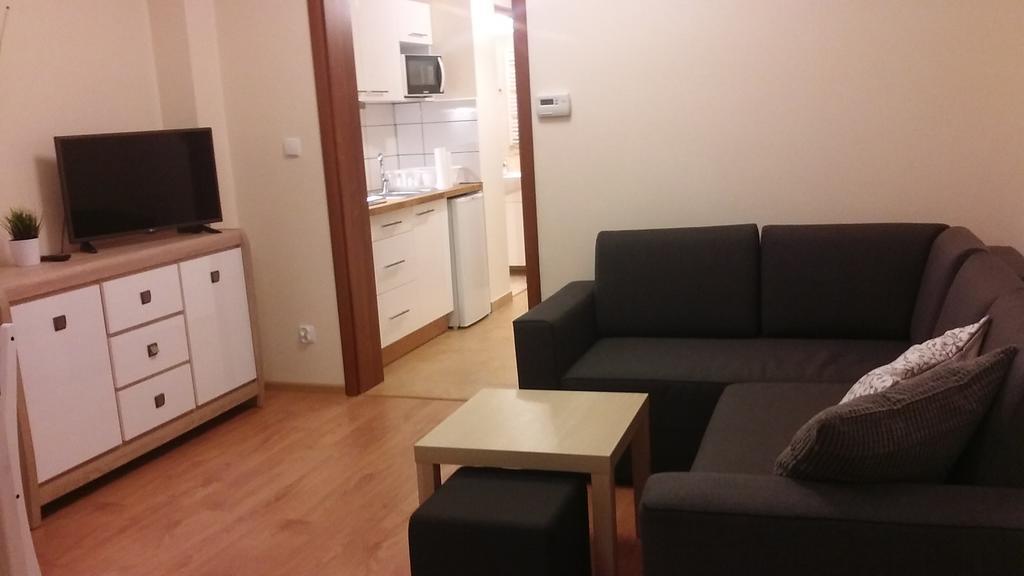 Apartament Akuratny ザコパネ エクステリア 写真