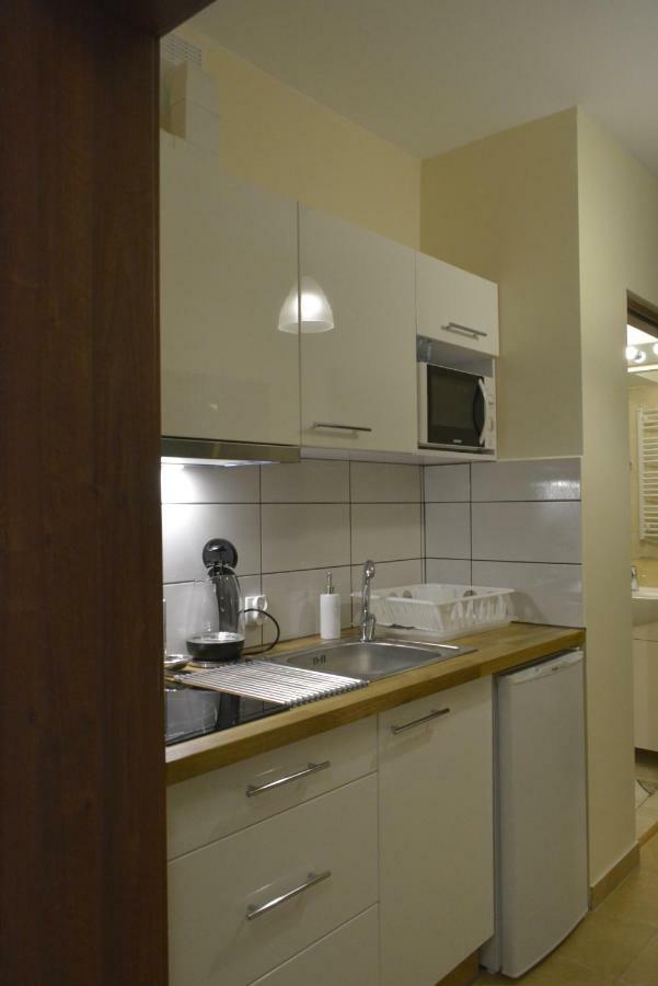 Apartament Akuratny ザコパネ エクステリア 写真