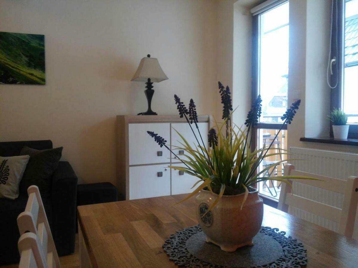 Apartament Akuratny ザコパネ エクステリア 写真